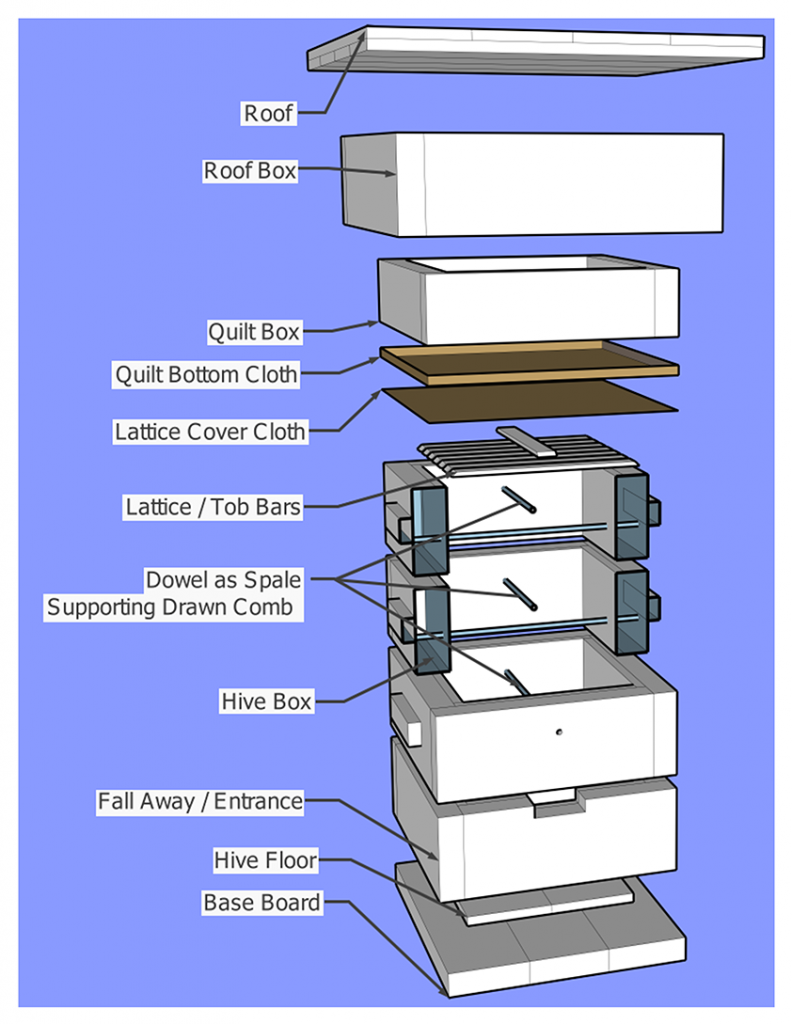 Parallel Hive Diagram 02